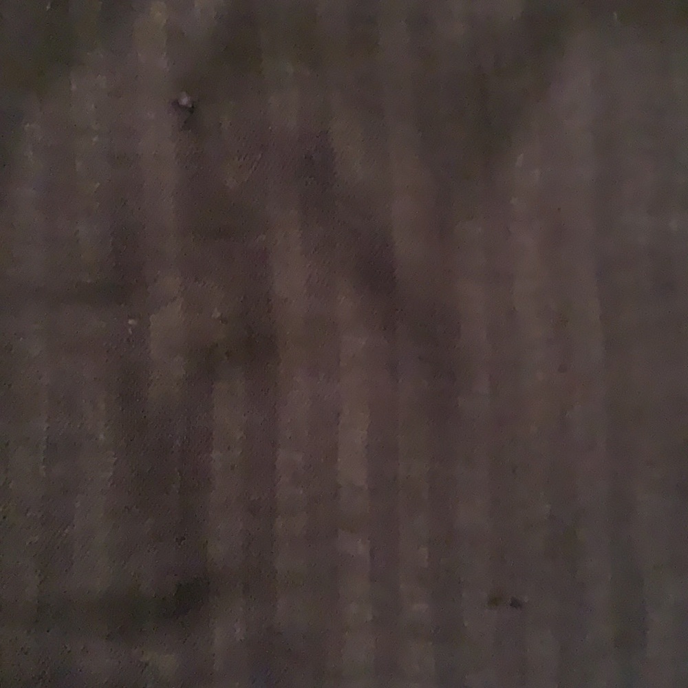 BCBGMaxAzria Versatile Scarf - Picture 10 of 10